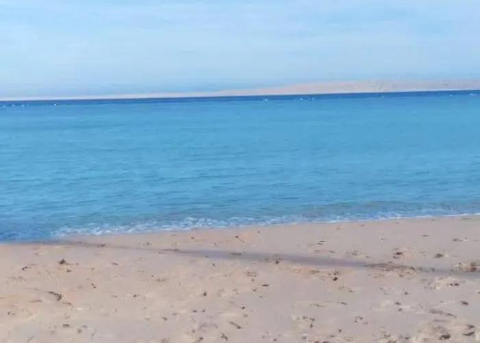 شقة فندقية Almahran Tiba Golden